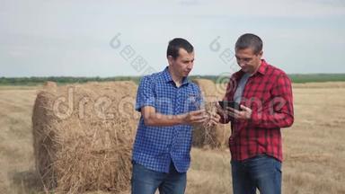 团队生活方式农业智慧农业理念.. 两个男子农民工人在数字领域研究干草堆